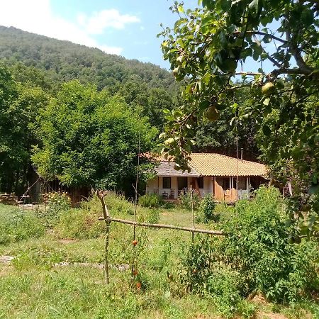 Charming Cottage In The Heart Of The Ribera Sacra Castro Caldelas Exteriér fotografie